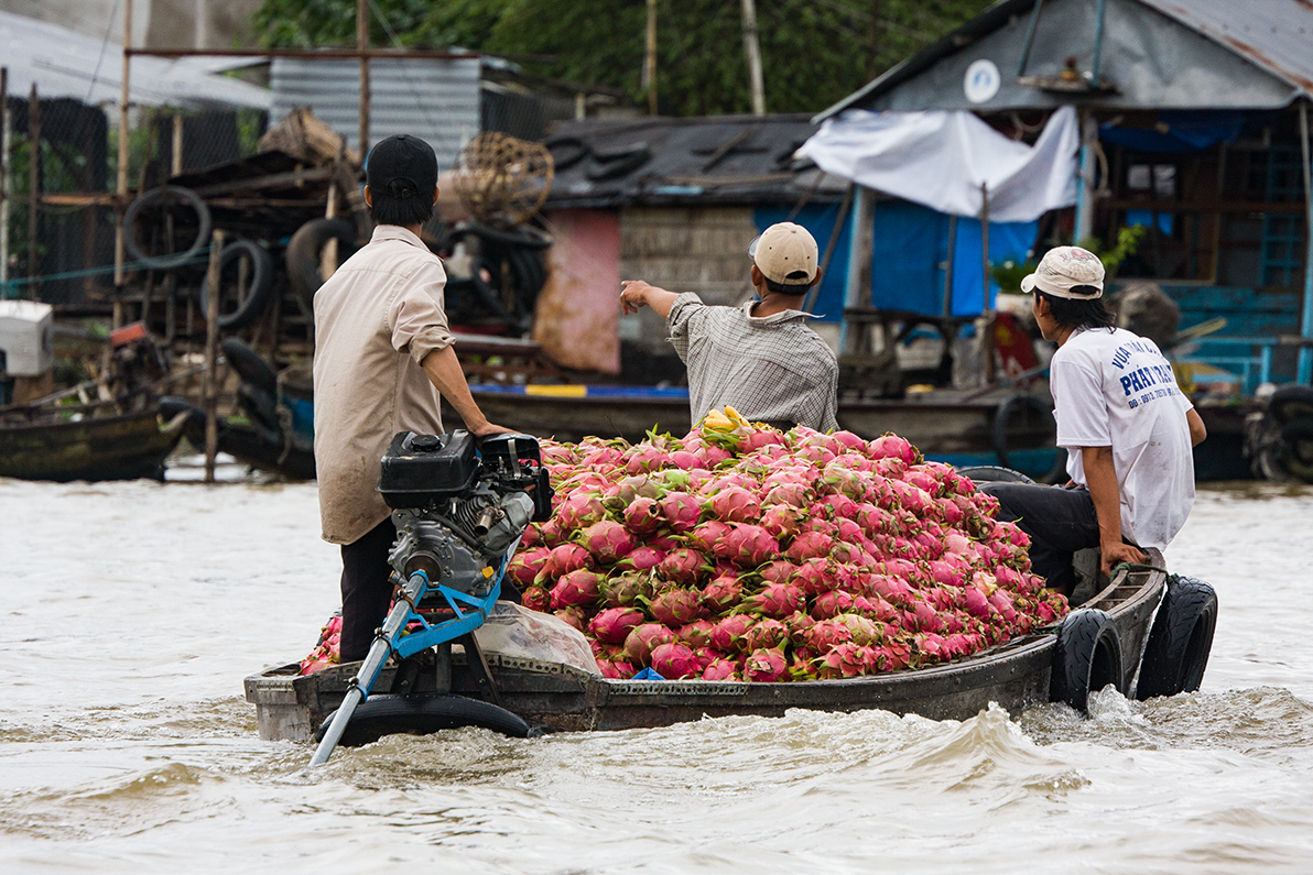 Delta Mekong   010